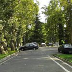 باربری نیاوران
